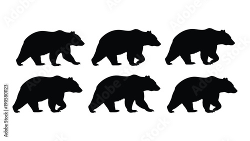 Six black silhouettes of bears walking in a row on a white background Vector