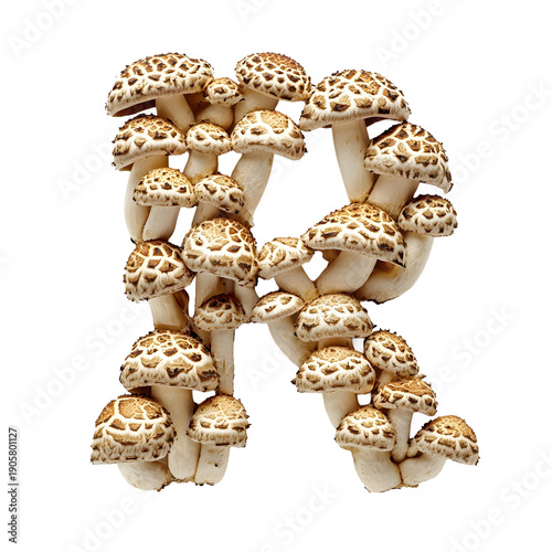 Top view of a letter R made of button mushrooms isolated on a white background