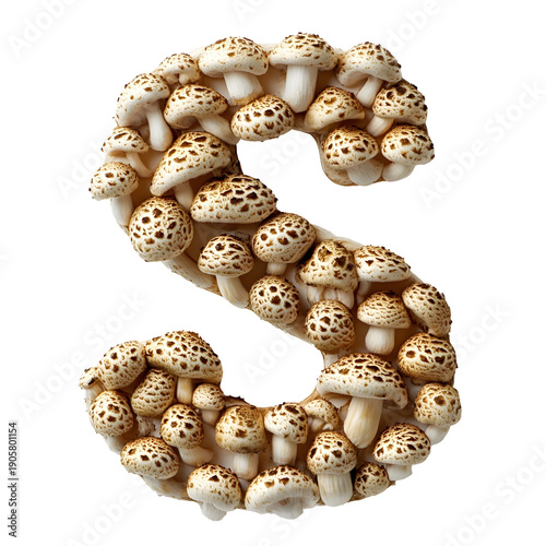 Top view of a letter S made of button mushrooms isolated on a white background