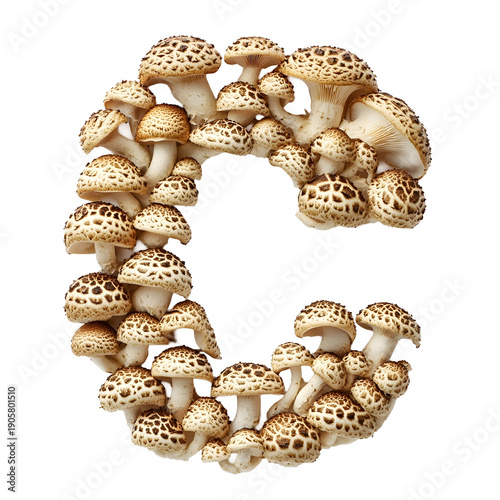 Top view of a letter C made of button mushrooms isolated on a white background