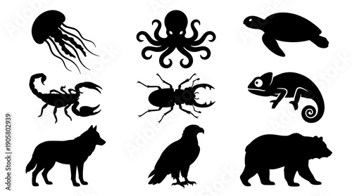 A diverse set of black animal silhouettes including jellyfish octopus turtle scorpion beetle chameleon wolf eagle and bear icons