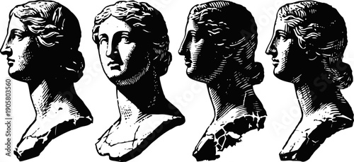 classical greek sculpture busts set, antique marble statues showing different profile views of a woman