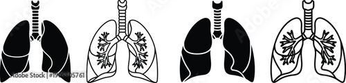Illustration of healthy and diseased lungs with various conditions