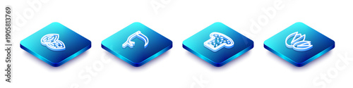Set Isometric line Seed, Scythe, Bread toast and Pistachio nuts icon. Vector