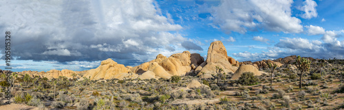 Foto landscape with joshua trees in the desert