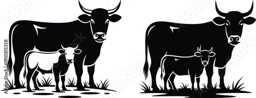 Two sets of cows and calves grazing in a field