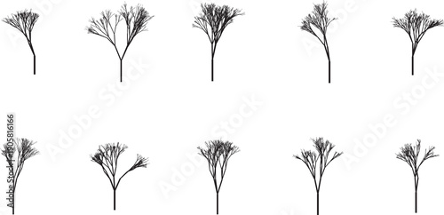 Set of ten abstract fractal tree-like structures, black lines on white background, mathematical growth patterns, isolated on white