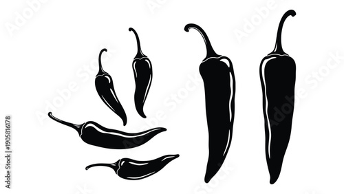 Assorted chili peppers illustrated in black and white with varying shapes and sizes Vector
