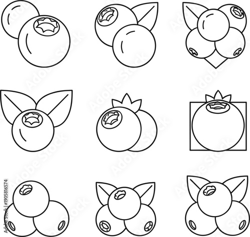 : Black and white line art vector illustrations of blueberries with leaves for fruit and healthy food concepts।