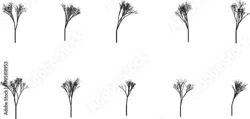 Set of abstract fractal tree-like structures, black lines on white background, mathematical generative art, isolated on white