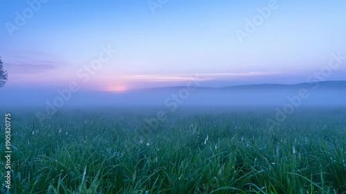 Serene sunrise over misty green field with soft morning fog
