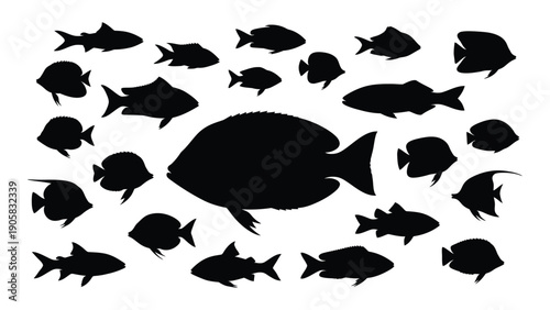 A large black fish surrounded by a diverse group of smaller fish in a circular formation Vector
