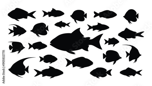 A diverse collection of black and white fish silhouettes in various sizes and orientations Vector