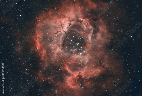 Rosette Nebula NGC2244 close-up astrophoto