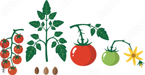 Fresh Fruits and Vegetables Illustration on White Background