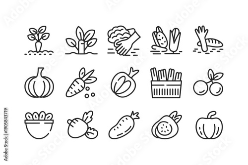 Fresh organic vegetables and fruits icons set for healthy eating and gardening concepts.