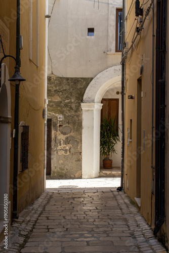 Termoli, seaside gem of Molise, unites a colorful medieval borgo on a rocky promontory, Swabian castle, Romanesque cathedral and wide sandy beaches lapped by the Adriatic.