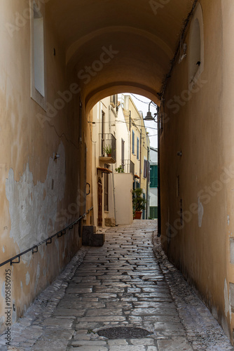Termoli, seaside gem of Molise, unites a colorful medieval borgo on a rocky promontory, Swabian castle, Romanesque cathedral and wide sandy beaches lapped by the Adriatic.