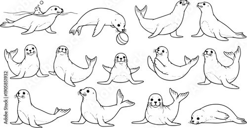 Black and white line art collection of various playful seal poses in multiple viewing angles and positions
