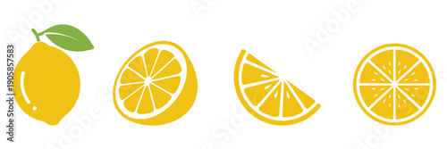 Lemon slice set, Lemon fruit icon, Vector lemon half cut logo, Yellow Lemon slice, vector illustration