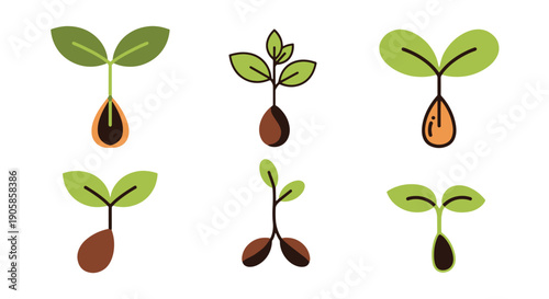 Seedling Line art color flat design