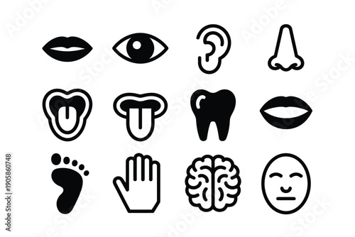 Body part icons set including face and organ silhouette illustrations