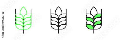 Set line Cereals set with rice, wheat, corn, oats, rye, barley icon isolated on white background. Ears of wheat bread symbols. Vector