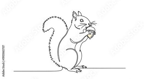 squirrel eating nuts, cute animal illustration