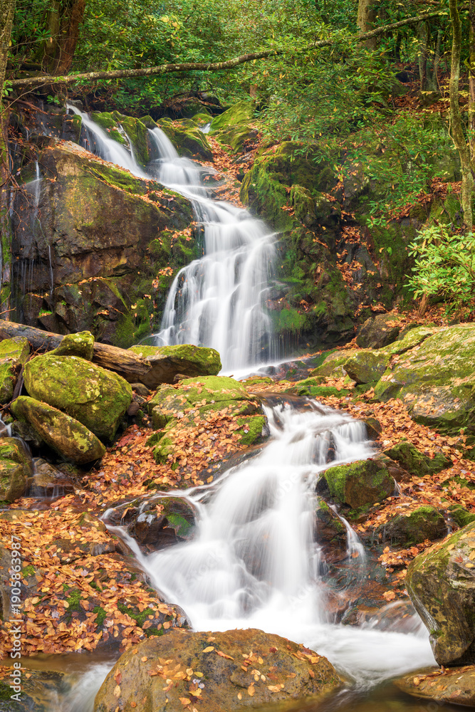 Obraz premium Beautiful 100 foot waterfall in Smoky Mountains