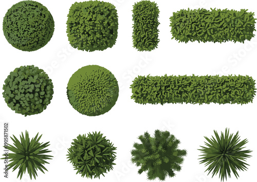 Top view garden bushes and hedges collection, green shrubs plants set, landscaping foliage shapes, natural outdoor greenery design elements