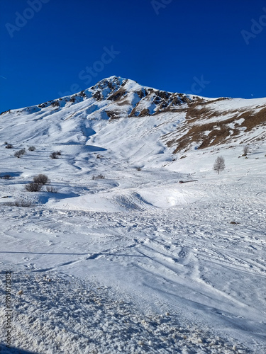 snow covered mountains