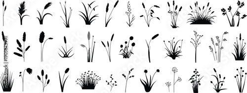 Grass and wildflower silhouettes illustration with diverse plants, stems, leaves, blossoms, black and white artwork, botanical, nature, decorative design concept