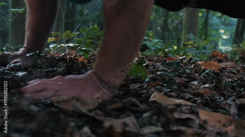 Wallpaper Mural Man doing cobra yoga pose in autumn forest as camera tilts up. Close up of hands on ground transitioning to full body stretch at sunrise. Mindfulness, fitness and wellness in nature. Torontodigital.ca