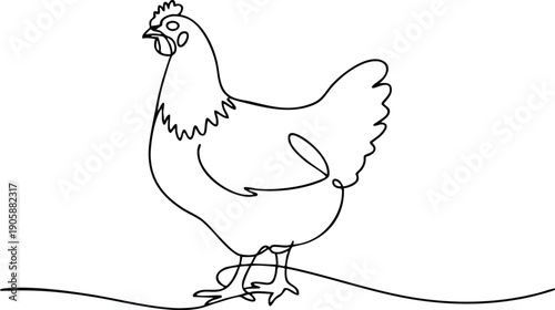 Continuous Line Art of a Standing Hen, vector, illustration, silhouette.