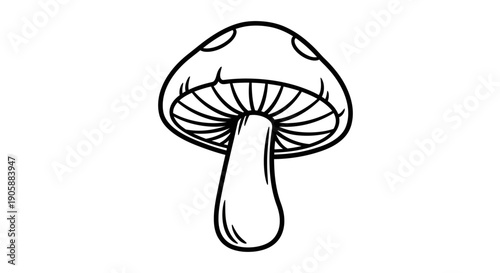 Simple line drawing of a mushroom with a rounded cap and stem