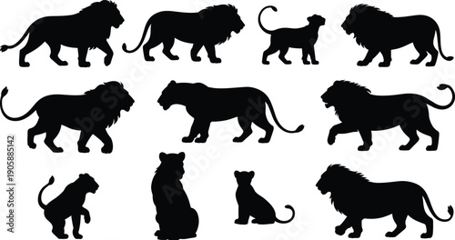 Black lion silhouettes set featuring male lions, lionesses, and cubs in various walking and sitting poses for wildlife safari logo branding.