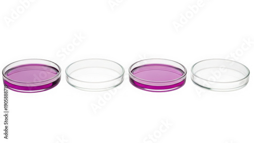 Four petri dishes with purple liquid isolated on transparent background