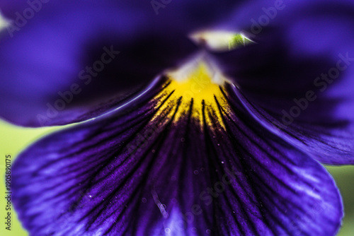 Nature Photography