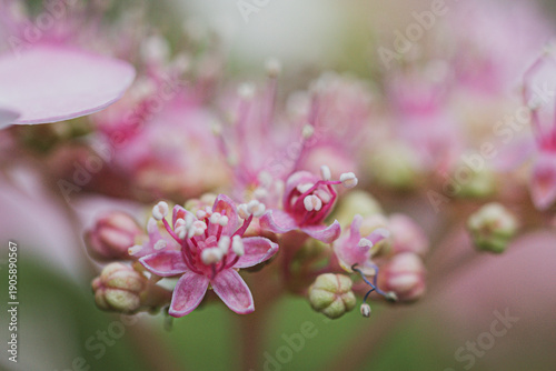 Nature Photography