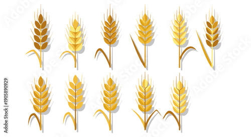 Collection of wheat stalks in various shapes and sizes
