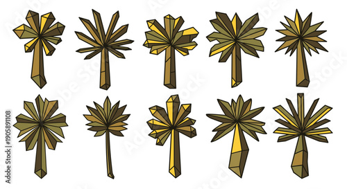 Collection of tropical palm trees with lush green fronds and trunks