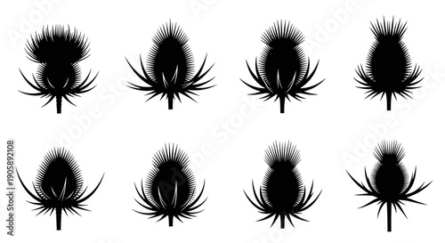 Collection of nine black spider silhouettes with detailed legs