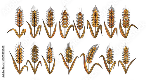Set of wheat stalks with golden grains and green leaves