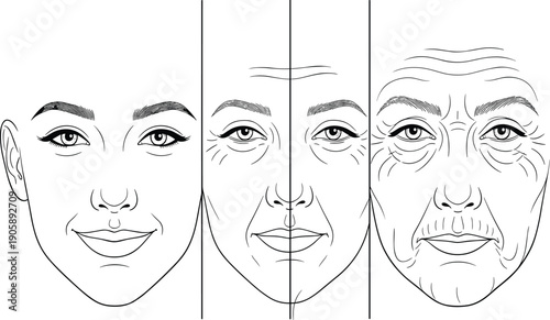 Comparative Line Art Illustration of Female Facial Aging Showing Youthful Skin Mid-Life Wrinkles and Mature Skin Textures for Skincare and Anti-Aging Branding
