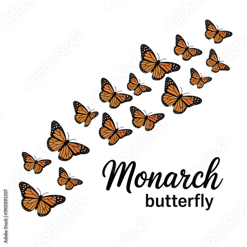 A swarm of monarch butterflies forming a curved flowing shape