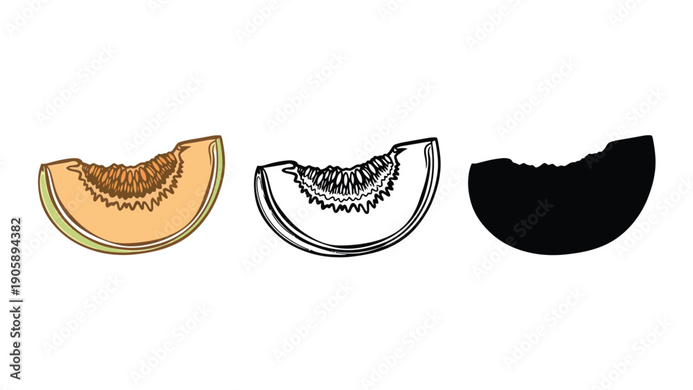 Fototapeta premium Three slices of cantaloupe melon, including a colored illustration, a line drawing, and a silhouette.