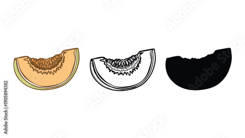 Three slices of cantaloupe melon, including a colored illustration, a line drawing, and a silhouette.