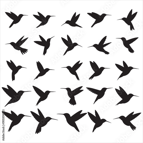 Hummingbird Silhouette Clipart