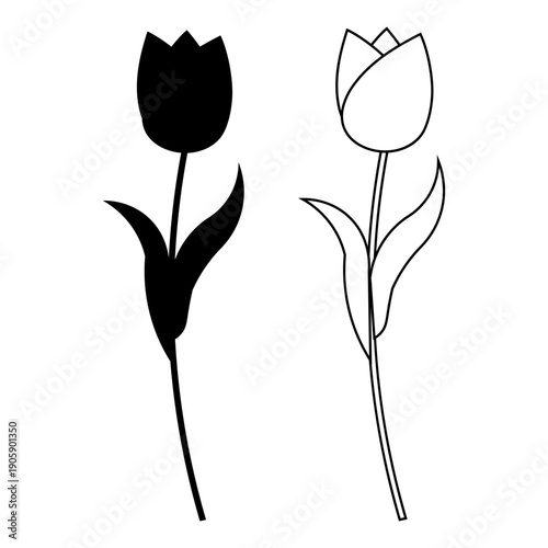 Minimal tulip flower silhouette and outline vector illustration set featuring elegant botanical shapes in black and white style suitable for spring design floral decoration branding logo print