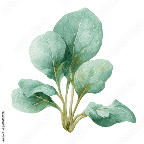 Elegant Green Leafy Plant Illustration on a Transparent Background